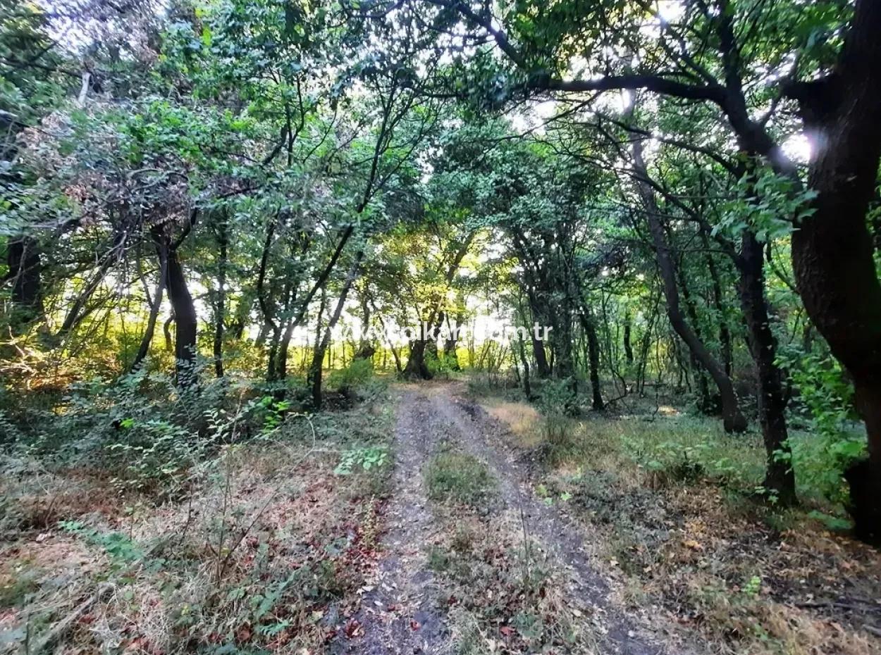 Grundstück Geeignet Für Investitionen Zum Verkauf In Mugla Dalyan Marmarlı