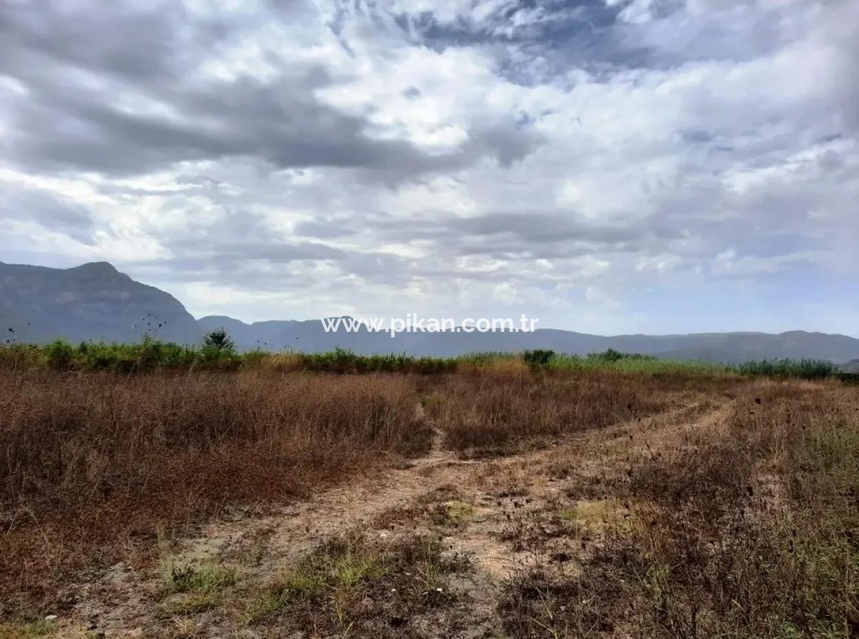 Fruchtbares Land Zu Verkaufen In Ortaca Eskiköy