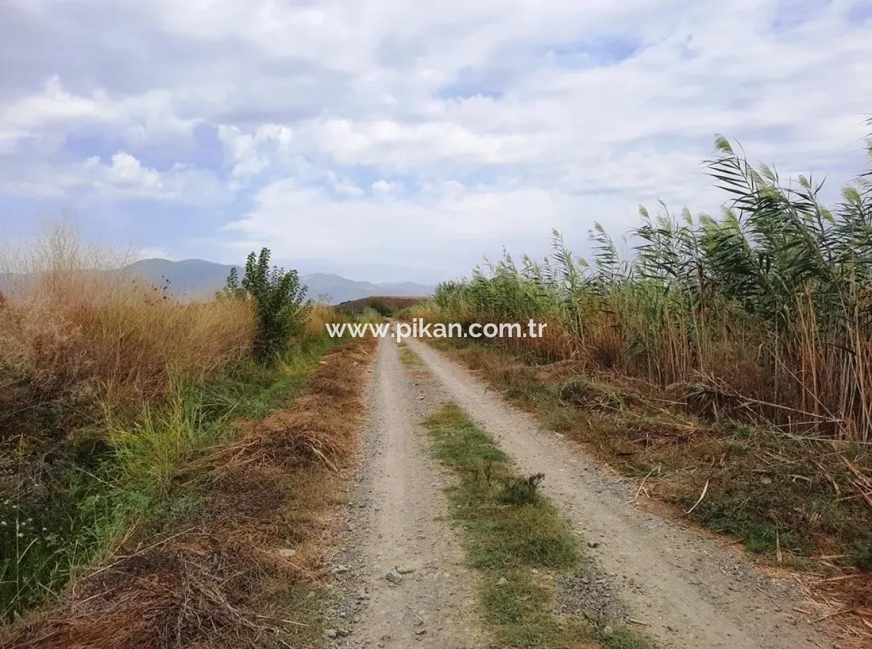 Fruchtbares Land Zu Verkaufen In Ortaca Eskiköy