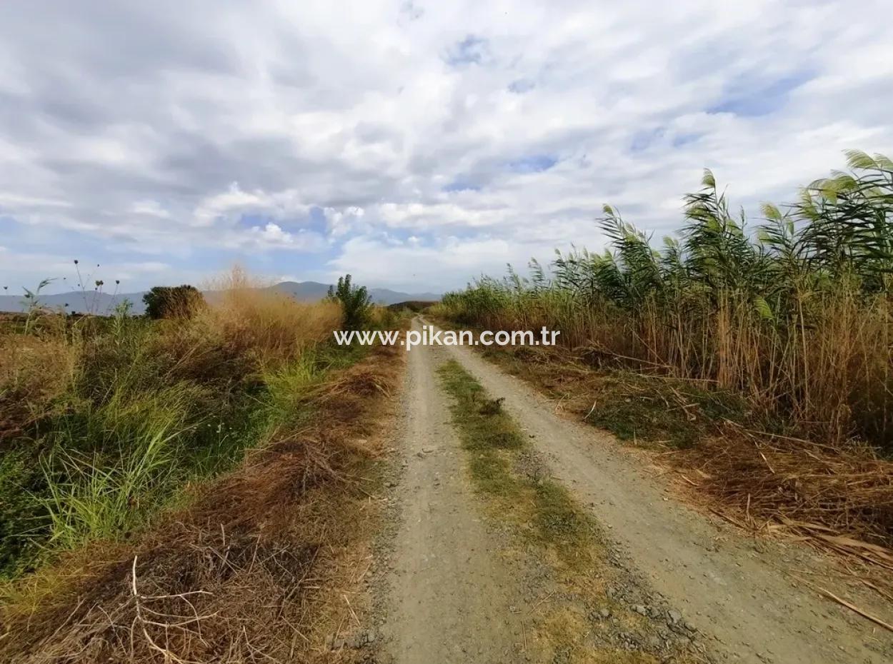 Fruchtbares Land Zu Verkaufen In Ortaca Eskiköy
