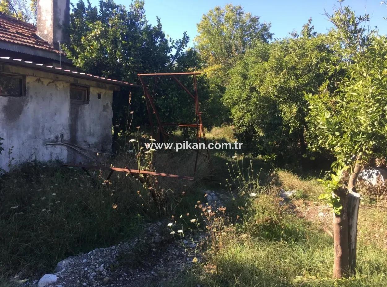 Land Und Altes Dorfhaus Zu Verkaufen In Köycee'iz Feuer