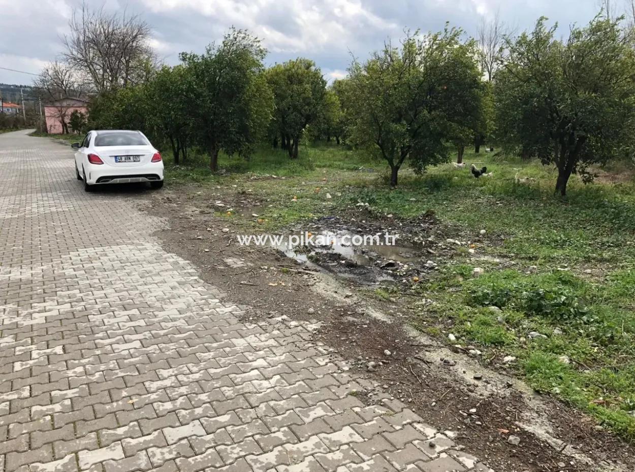 Land Und Altes Dorfhaus Zu Verkaufen In Köycee'iz Feuer