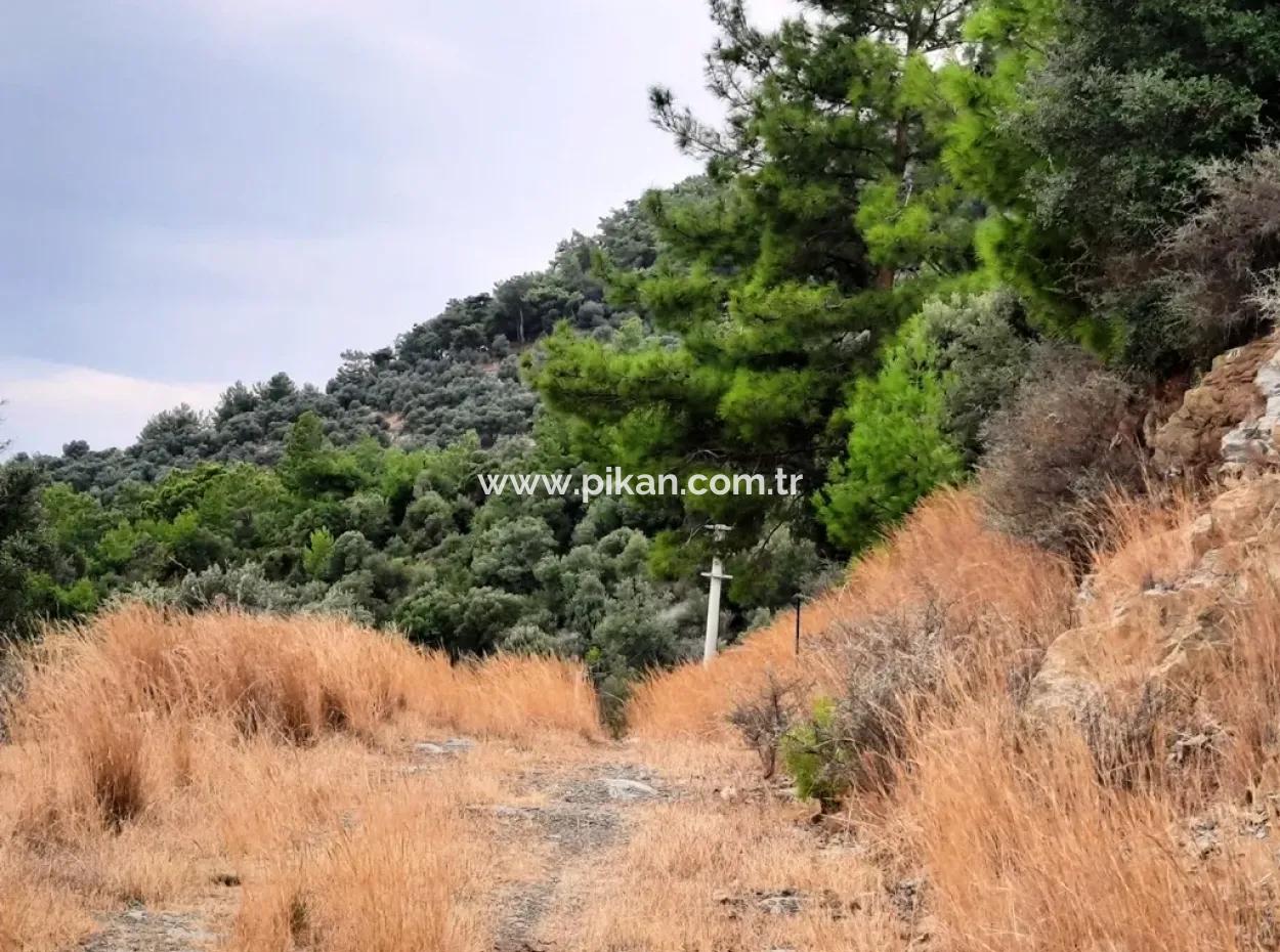 Plots Mit Meerblick Zum Verkauf In Sarigerme, Muğla