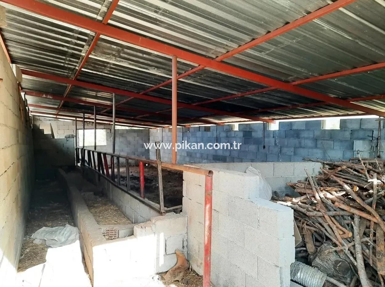 Denizli 'Ameli Cevizli 2 700 M2 Land- Und Dorfhaus Zu Verkaufen