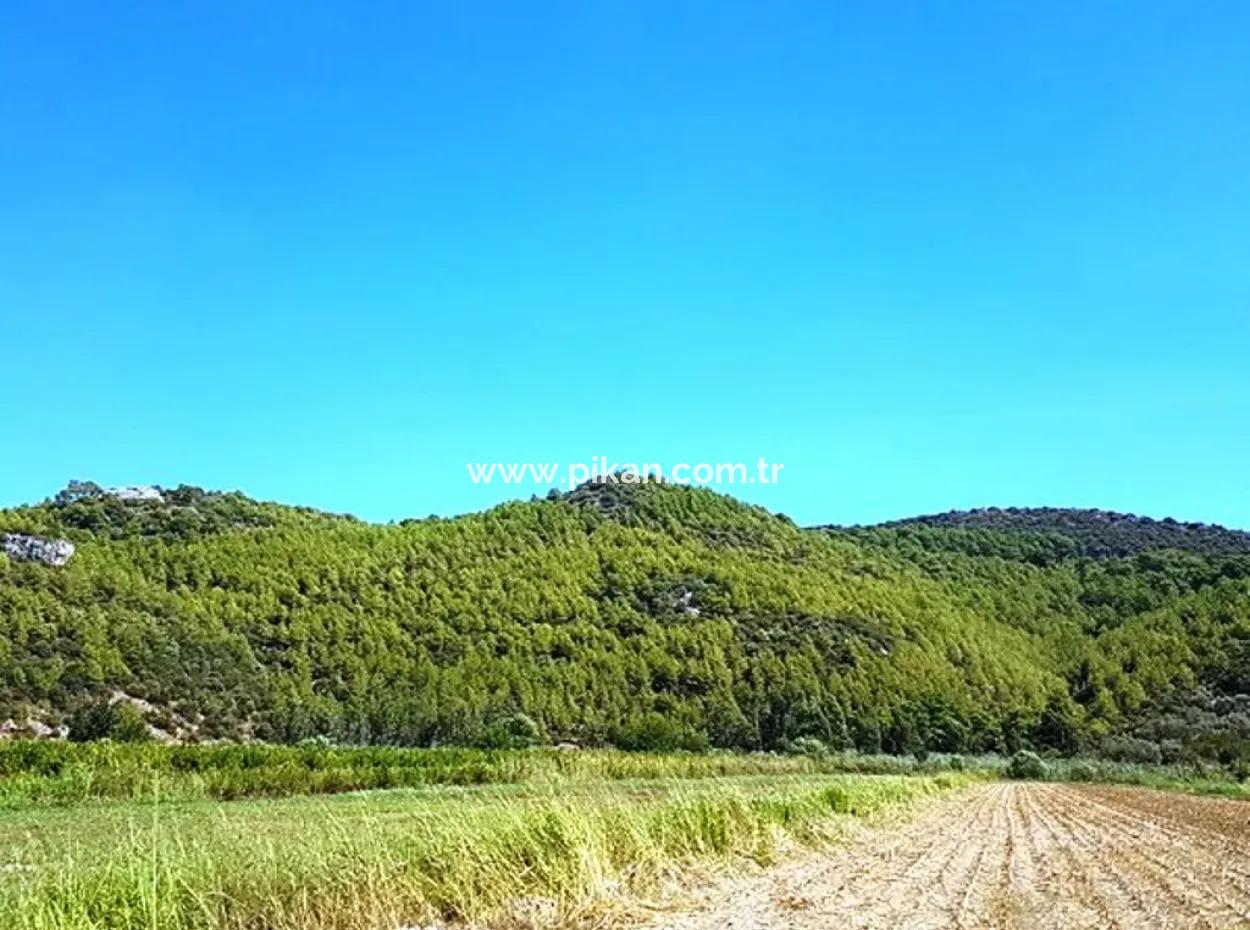 Fruchtbares Schnäppchenland Zum Verkauf In Muğla Ortaca Güzelyurt