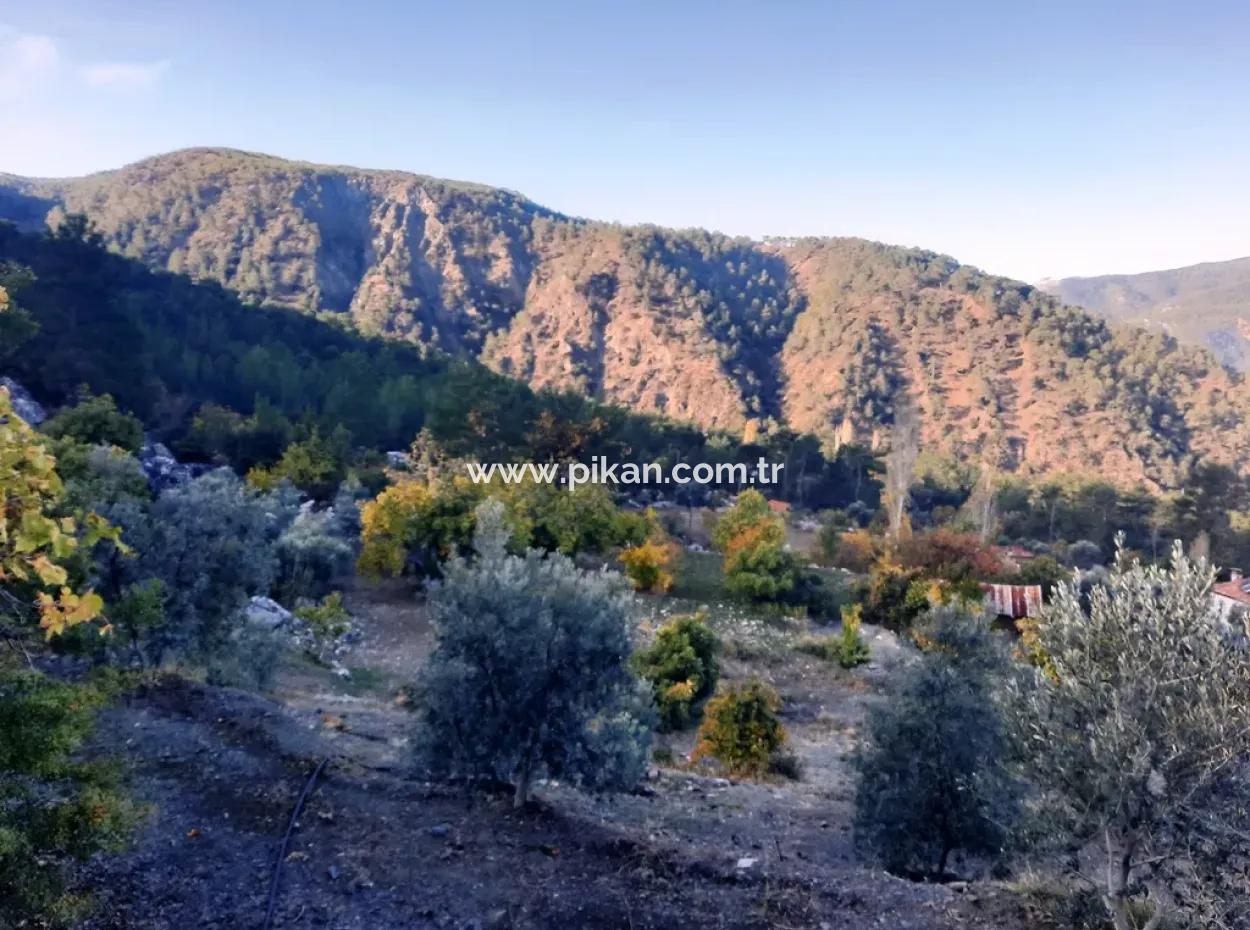 Mugla Dalaman Narli 1800 M2 Schnäppchen Land Zu Verkaufen