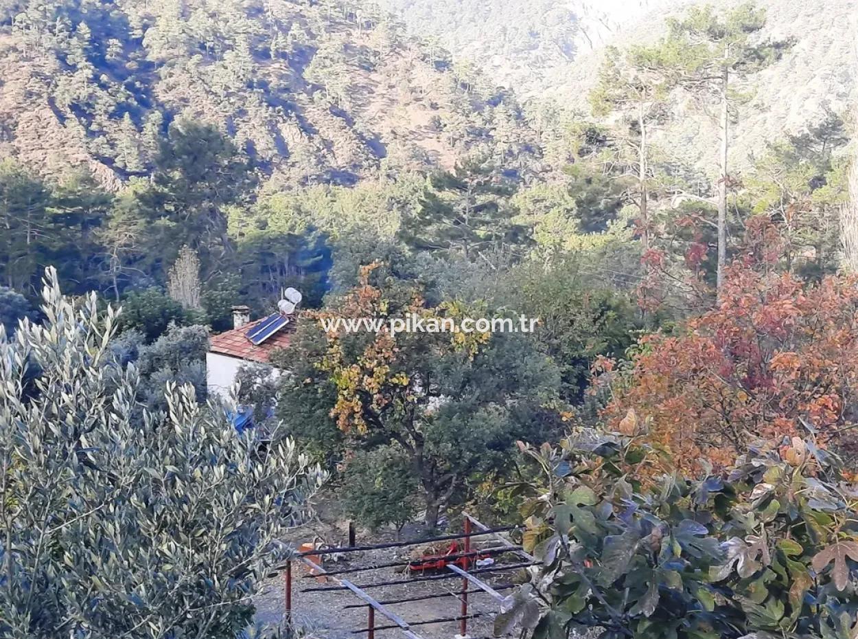 Mugla Dalaman Narli 1800 M2 Schnäppchen Land Zu Verkaufen