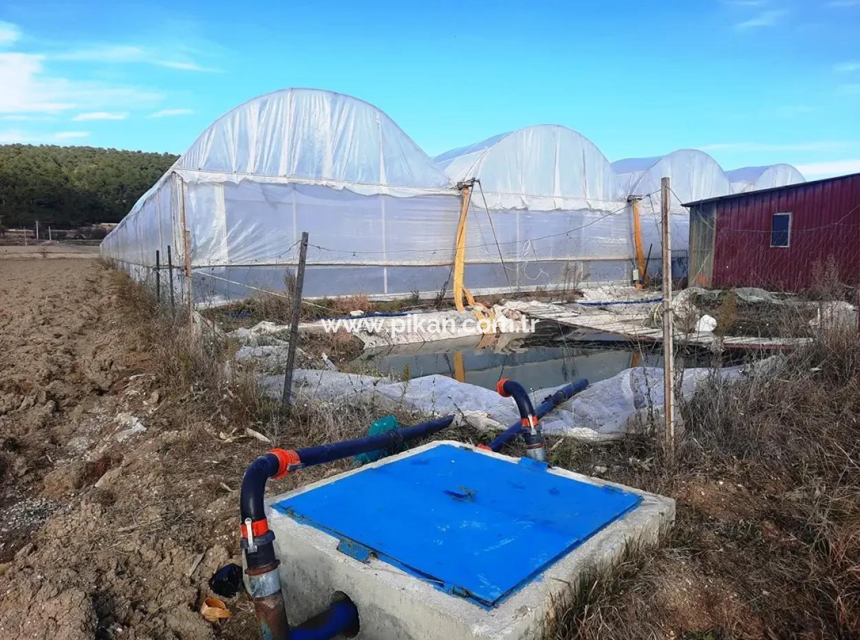 Denizli 'Ameli Yumrutaş Freistehend 4 000 M2 Gewächshaus Zu Verkaufen