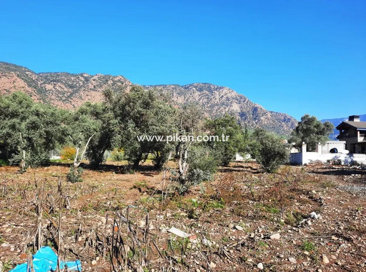 2.000 M2 Kelepir Freistehendes Zoning-Land Zum Verkauf In Köyce-Inz Topars