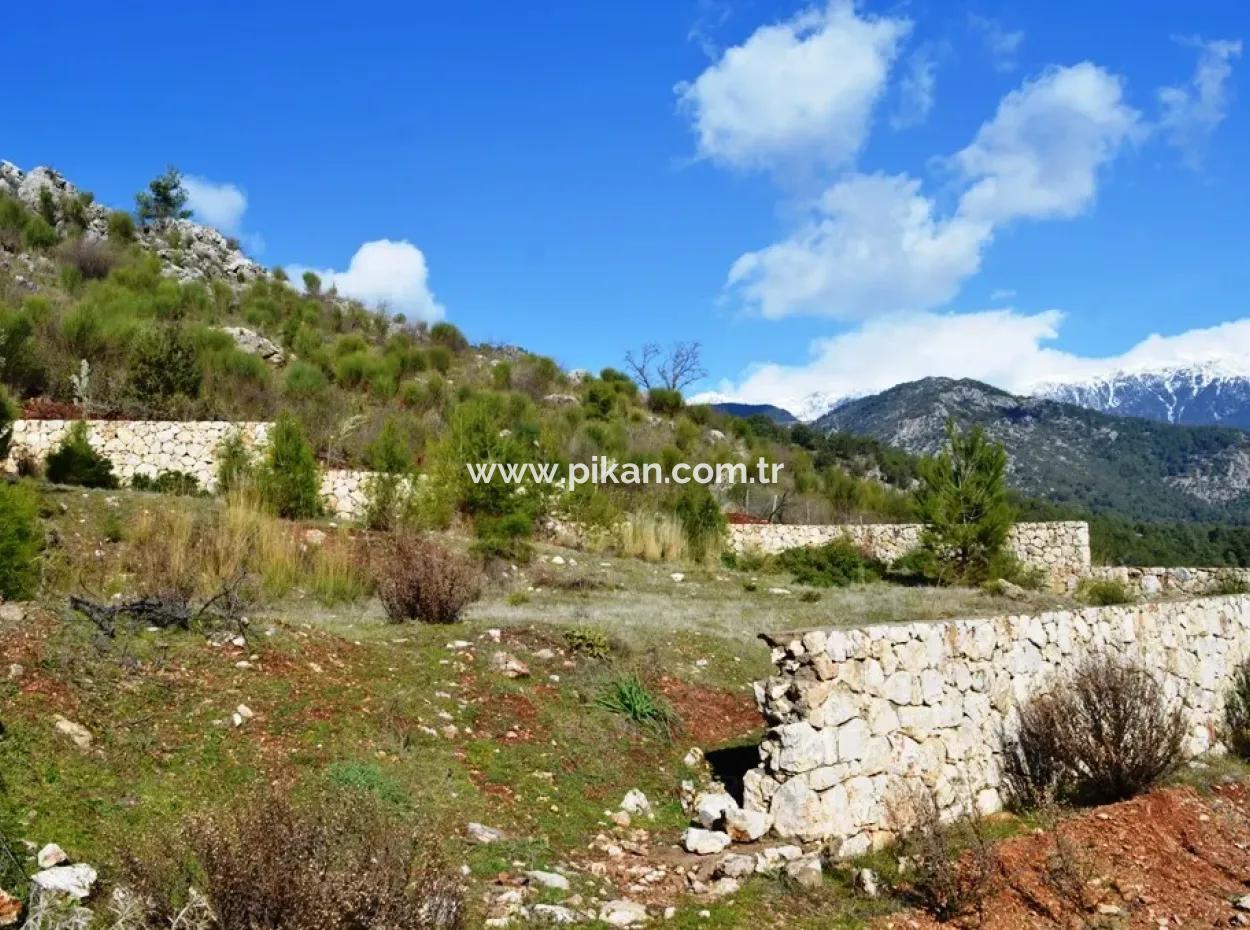 Zoning Land Zu Verkaufen In Fethiye Grapes Kizilbel