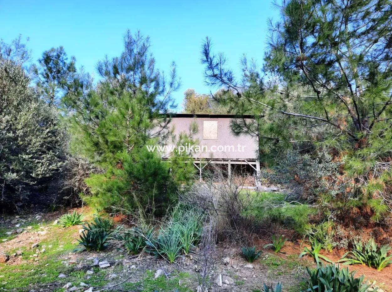 Mugla Dalyan Gokbel 1700 M2 Freistehendes Land Und Bungalow Mit Blick Auf Die Natur