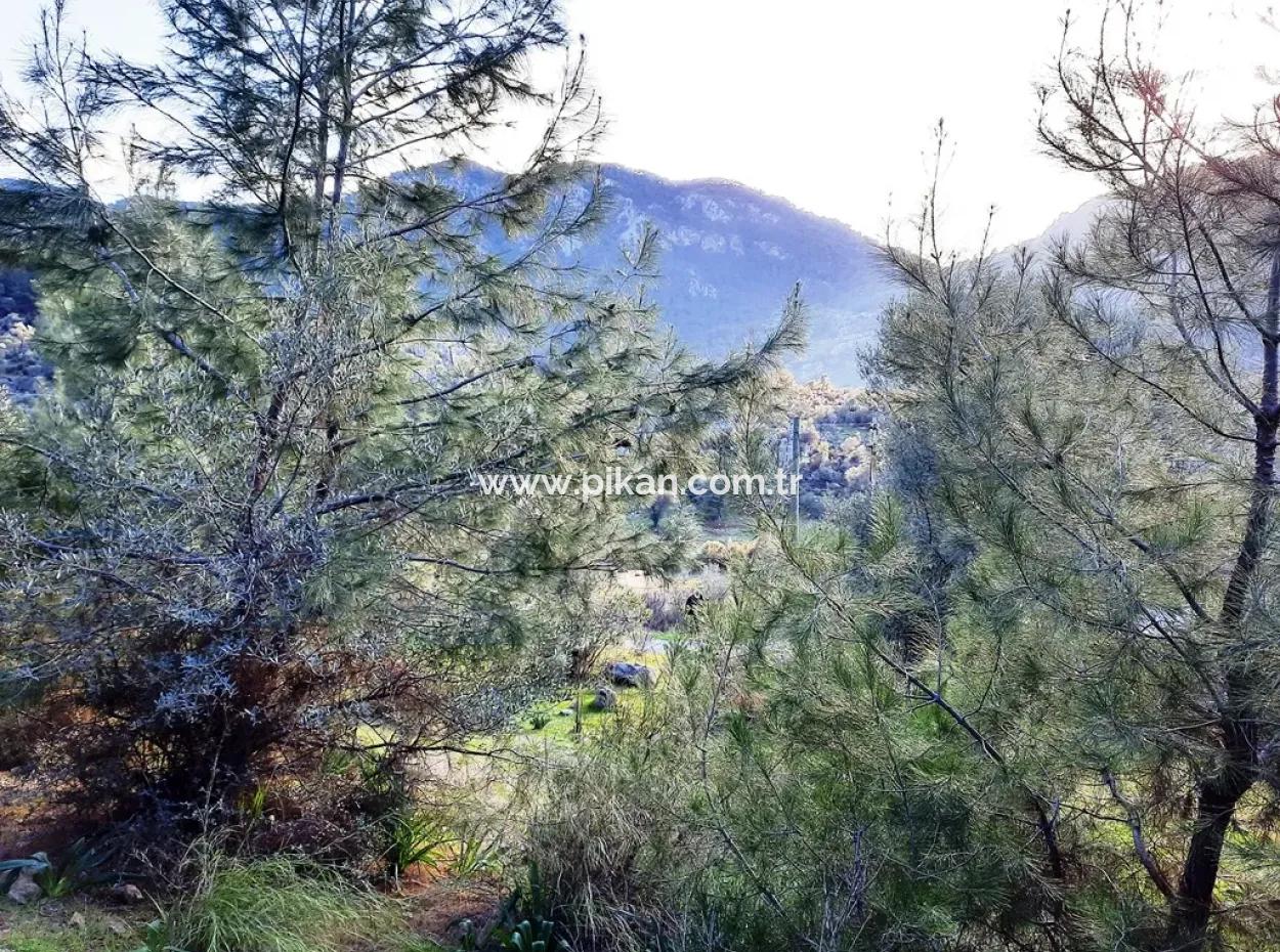 Mugla Dalyan Gokbel 1700 M2 Freistehendes Land Und Bungalow Mit Blick Auf Die Natur
