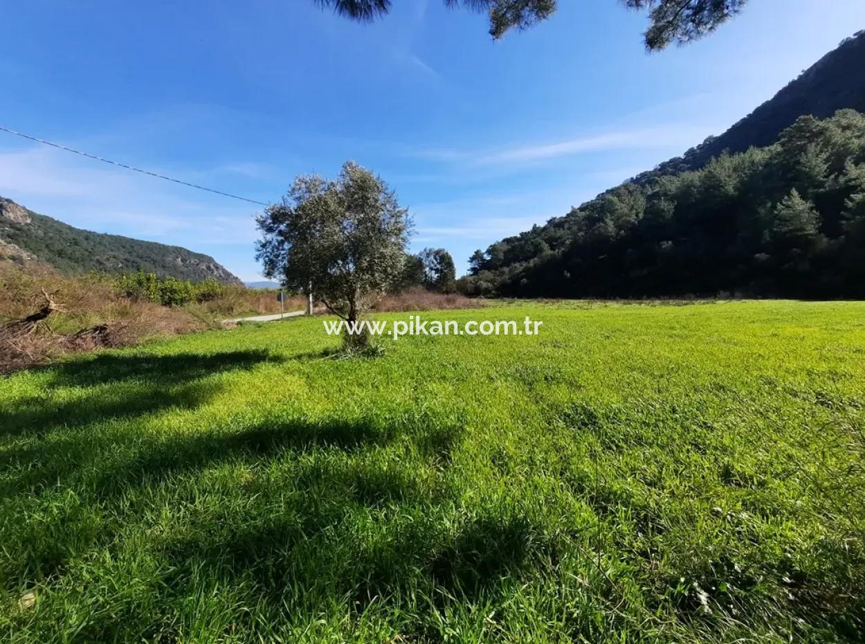Mergenli Zum Verkauf In Ortaca Berg-Null-Investment Ein Schnäppchen Geeigneten Grundstücken