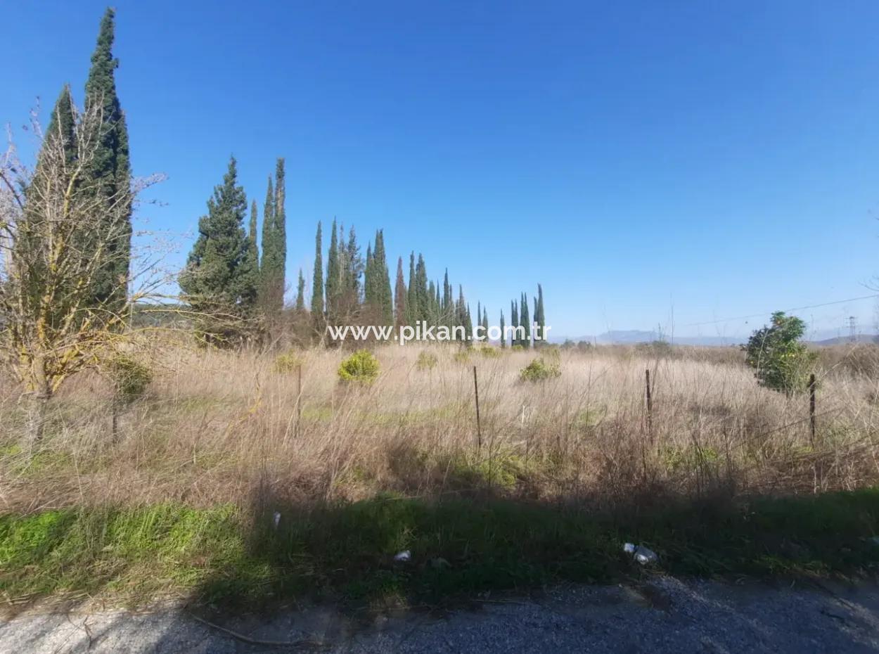 Mugla Ortaca Güzelyurt Sarégerme Straße Mit Blick Auf 2256 M2 Feld Zu Verkaufen