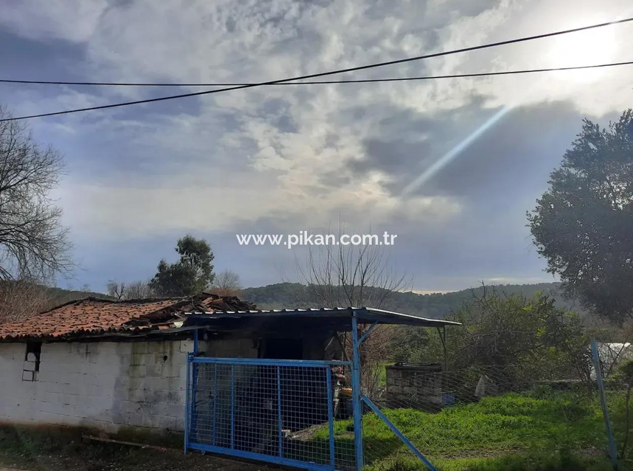 Land Mit Zonen Zum Verkauf In Der Nähe Des Sees In Koycegiz Zeytinalani