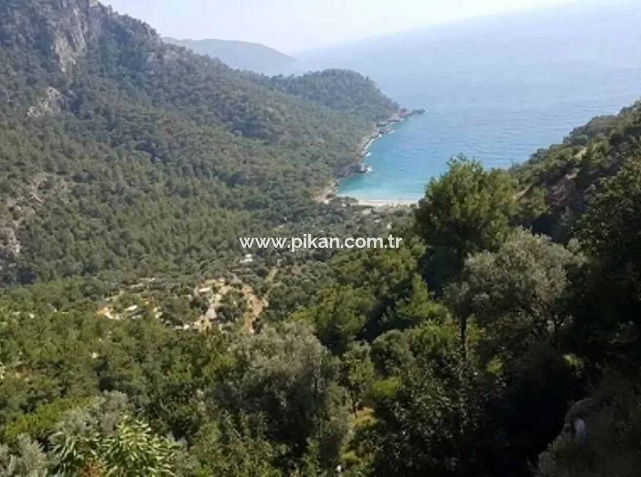 Grundstück Zum Verkauf In Fethiye Faralya Mit Aussicht Auf Das Meer, 6750 M2