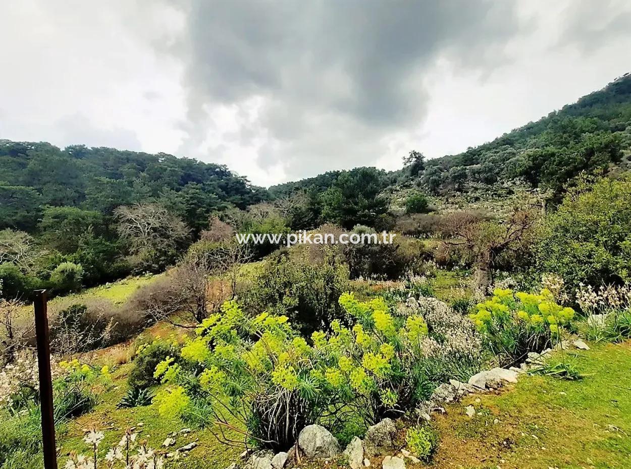 Dalyan Gökbel 13.100 M2 Acker Zum Verkauf In Der Natur