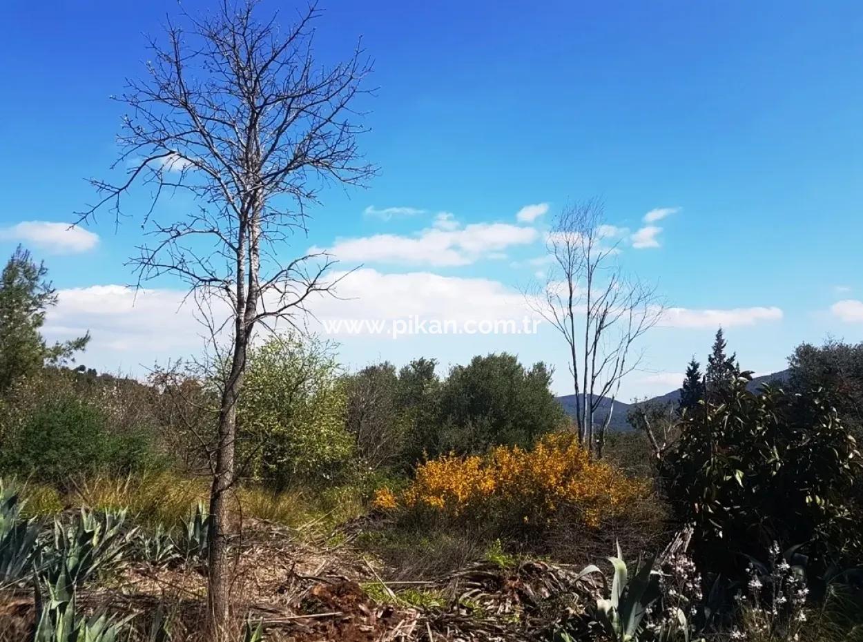 Ausgezeichnete Grundstück Zum Verkauf Schnäppchen, 2616 M2 Einfamilienhaus-Parzellen 6