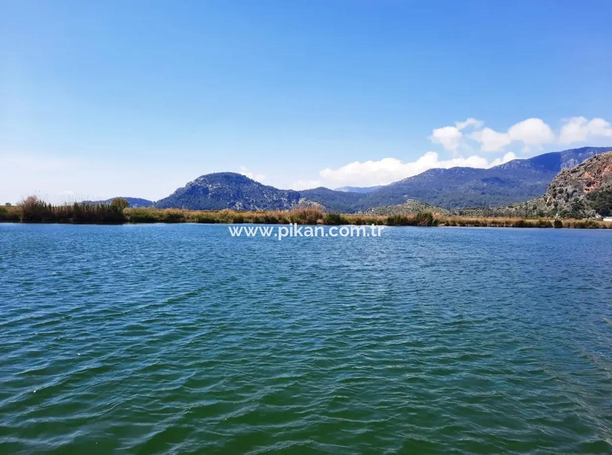 Mugla Dalyan Granatapfelgarten Geeignet Für Null Investition In Den Kanal Zu Verkaufen