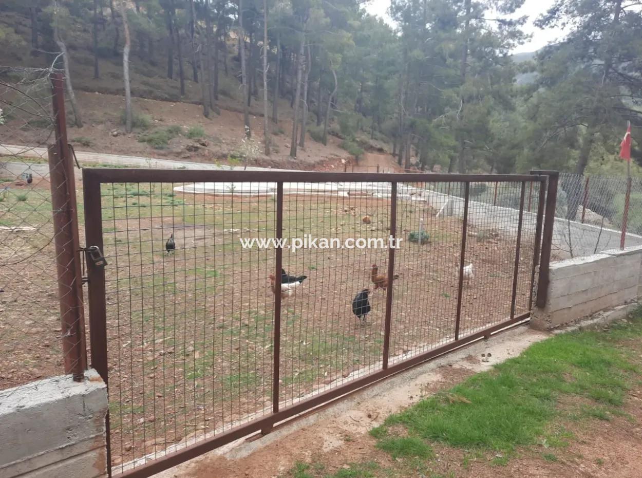 Köyce-Inz Agla Yayla Opportunity 1050 M2 Fläche Zu Verkaufen