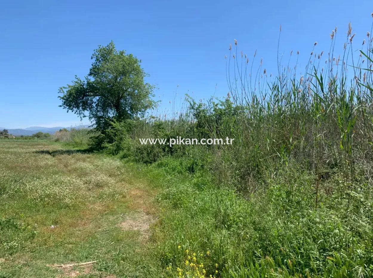 Schnäppchen Freistehendes Land Zum Verkauf In Ortaca Güzelyurt