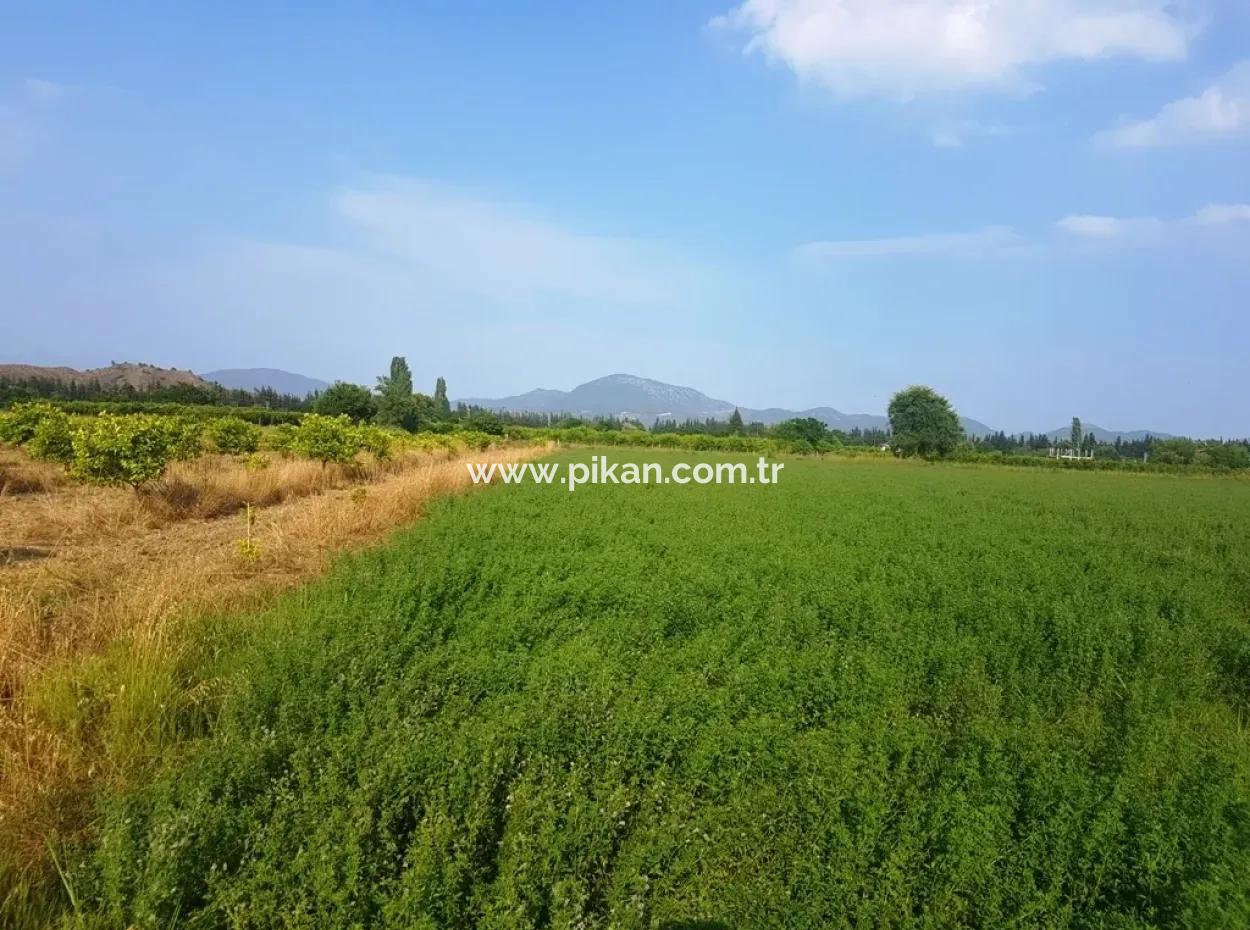 3700 M2 Fruchtbares Feld Zum Verkauf In Ortaca Fevziye