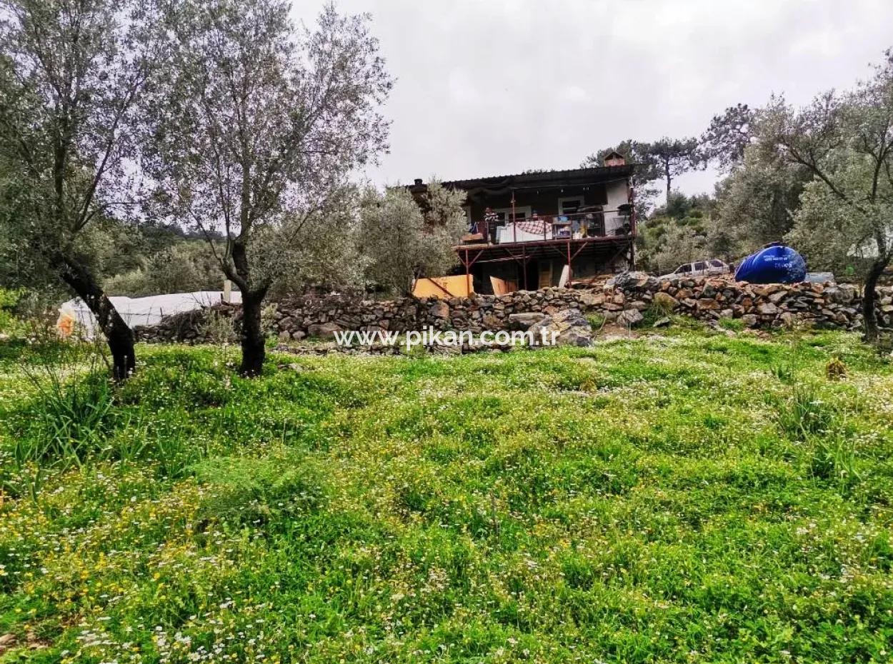 Freistehendes Dorfhaus In Der Natur Zu Verkaufen In Fethiye Gocek Ta'basi
