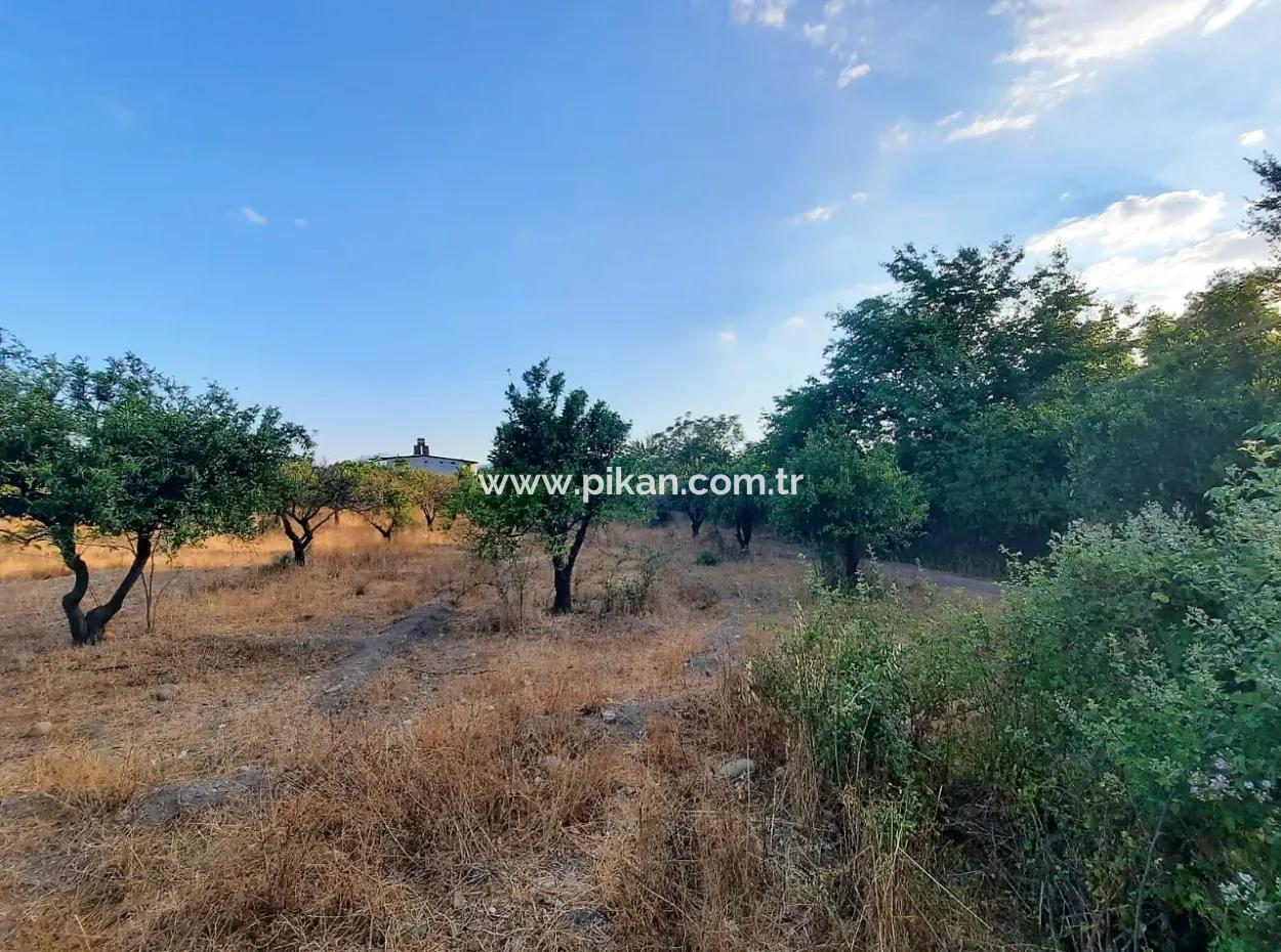 1080 M2 Flächen Zu Verkaufen In Köyceiz Toparlar