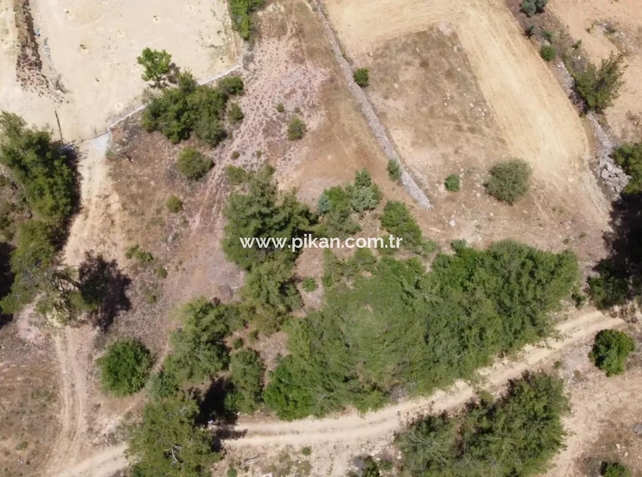 3031 M2 Freistehendes Feld Zu Verkaufen In Mugla Mentese Denizova
