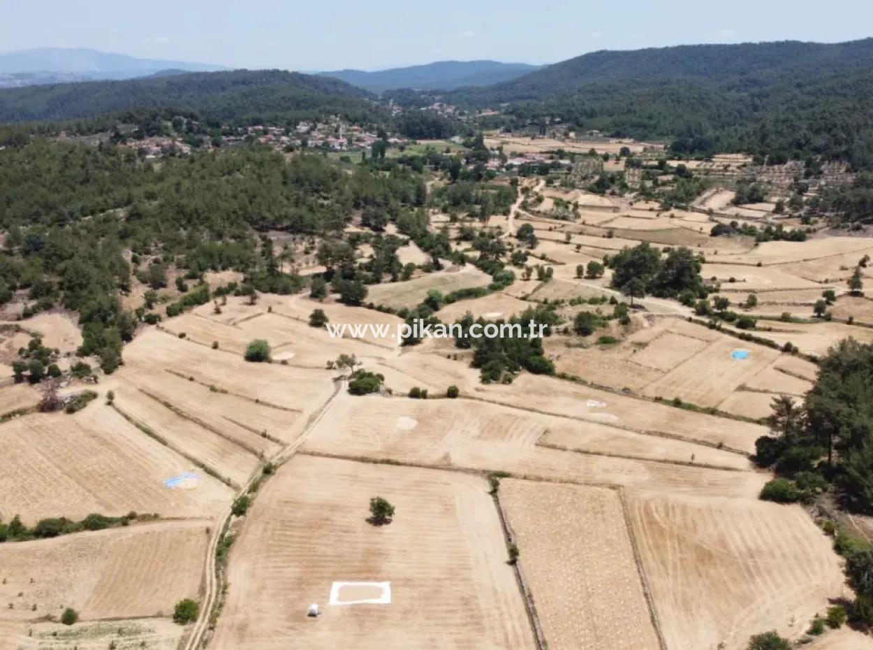 3031 M2 Freistehendes Feld Zu Verkaufen In Mugla Mentese Denizova