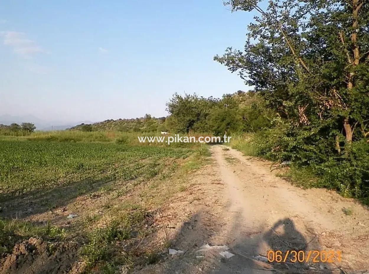 10 000 M2 Fruchtbares Land Zum Verkauf In Mugla Ortaca Mergenli