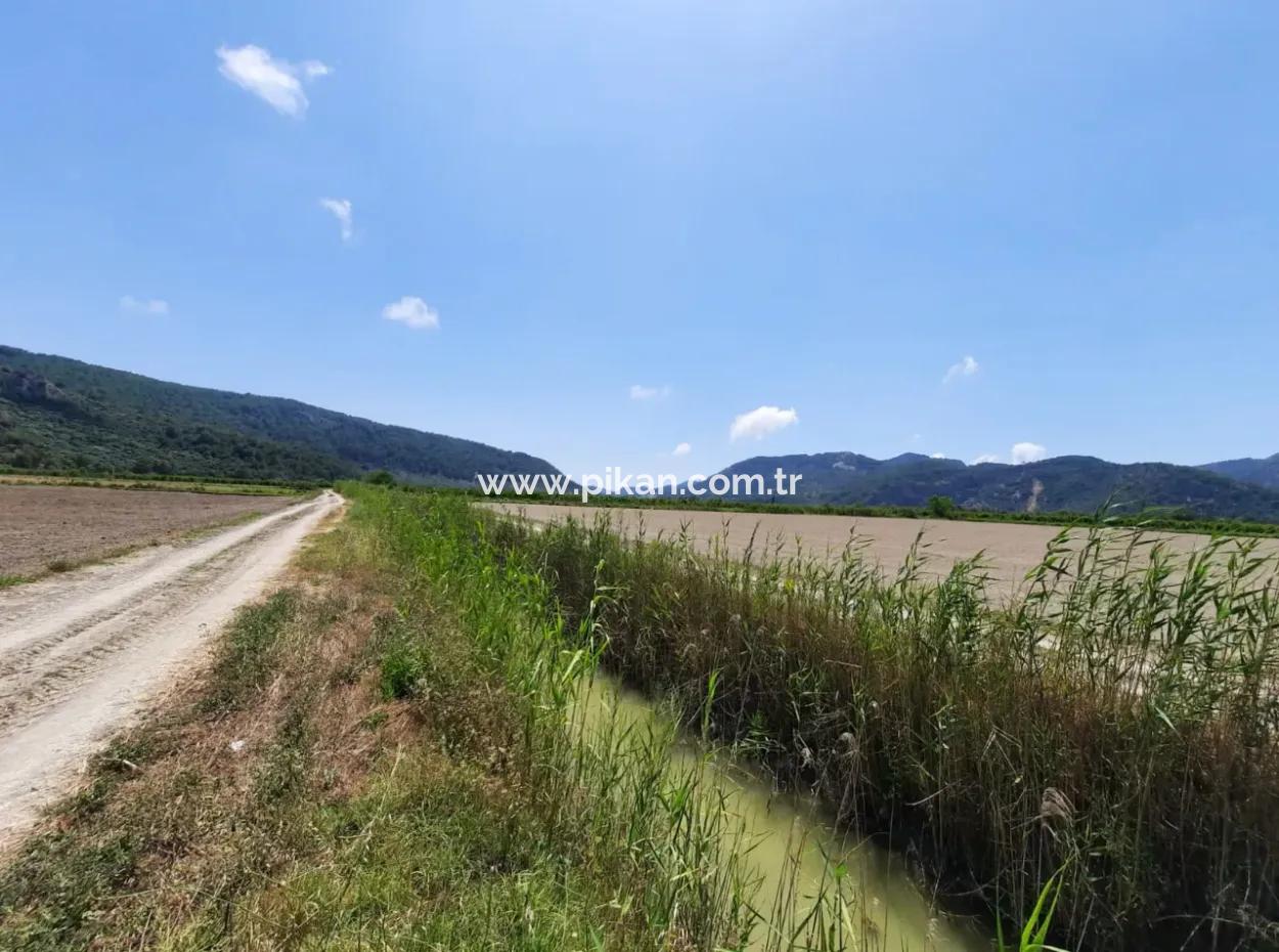 Fruchtbares Land Zu Vermieten In Ortaca Güzelyurt