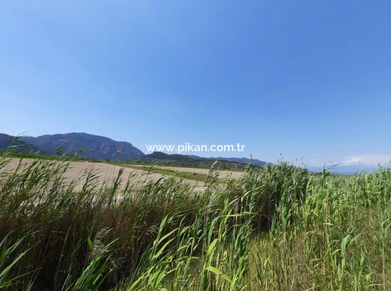 Fruchtbares Land Zu Vermieten In Ortaca Güzelyurt