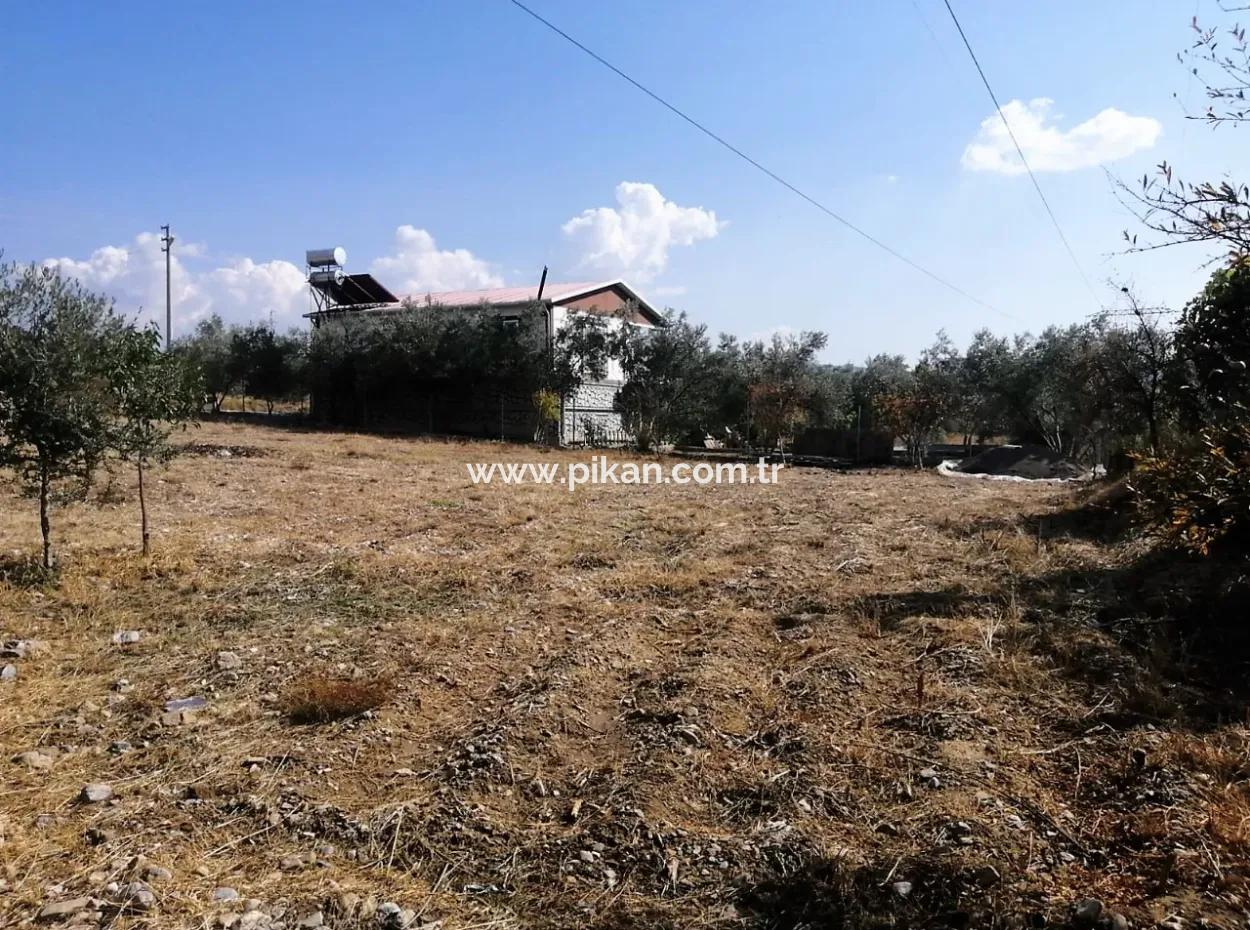 2 Einfamilienhäuser Zum Verkauf In 1992 M2 Grundstück Mit Blick Auf Den See In Köyceğiz Zeytinalanı