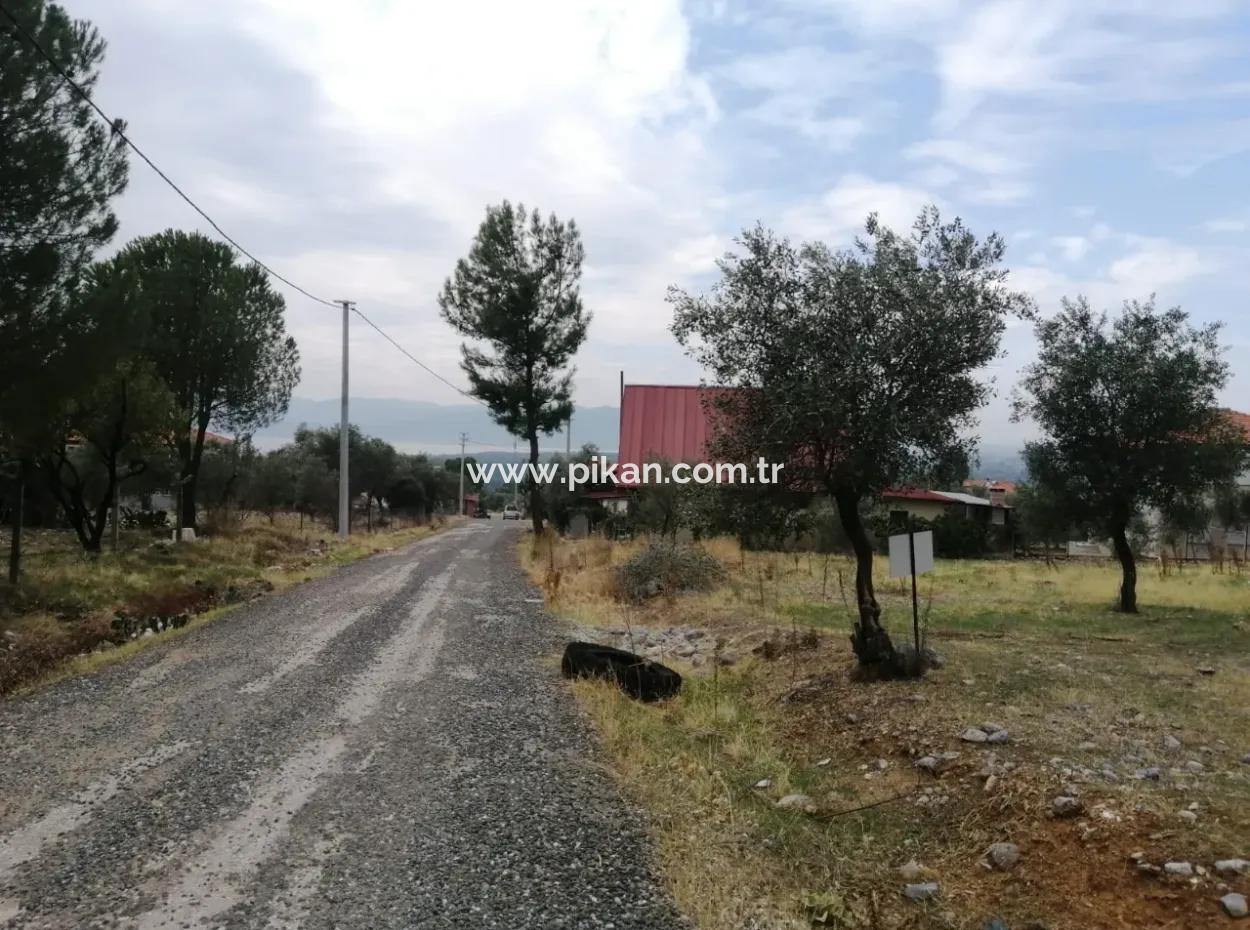2788 M2 Feld Mit Seeblick Zu Verkaufen In Mugla Köyceğiz Zeytinalanı