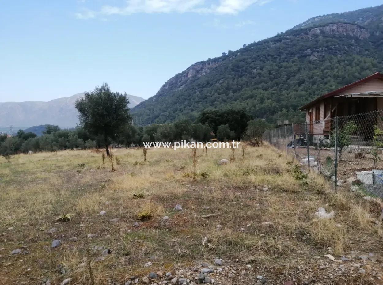 2788 M2 Feld Mit Seeblick Zu Verkaufen In Mugla Köyceğiz Zeytinalanı