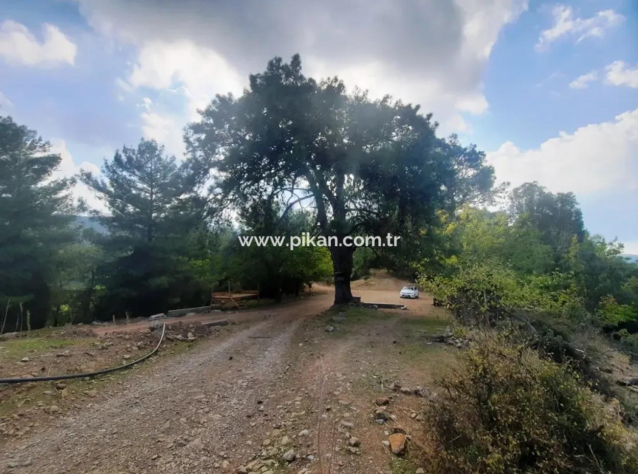 Mugla Dalyan Gökbel 320 M2 Schnäppchengrundstück Zum Verkauf