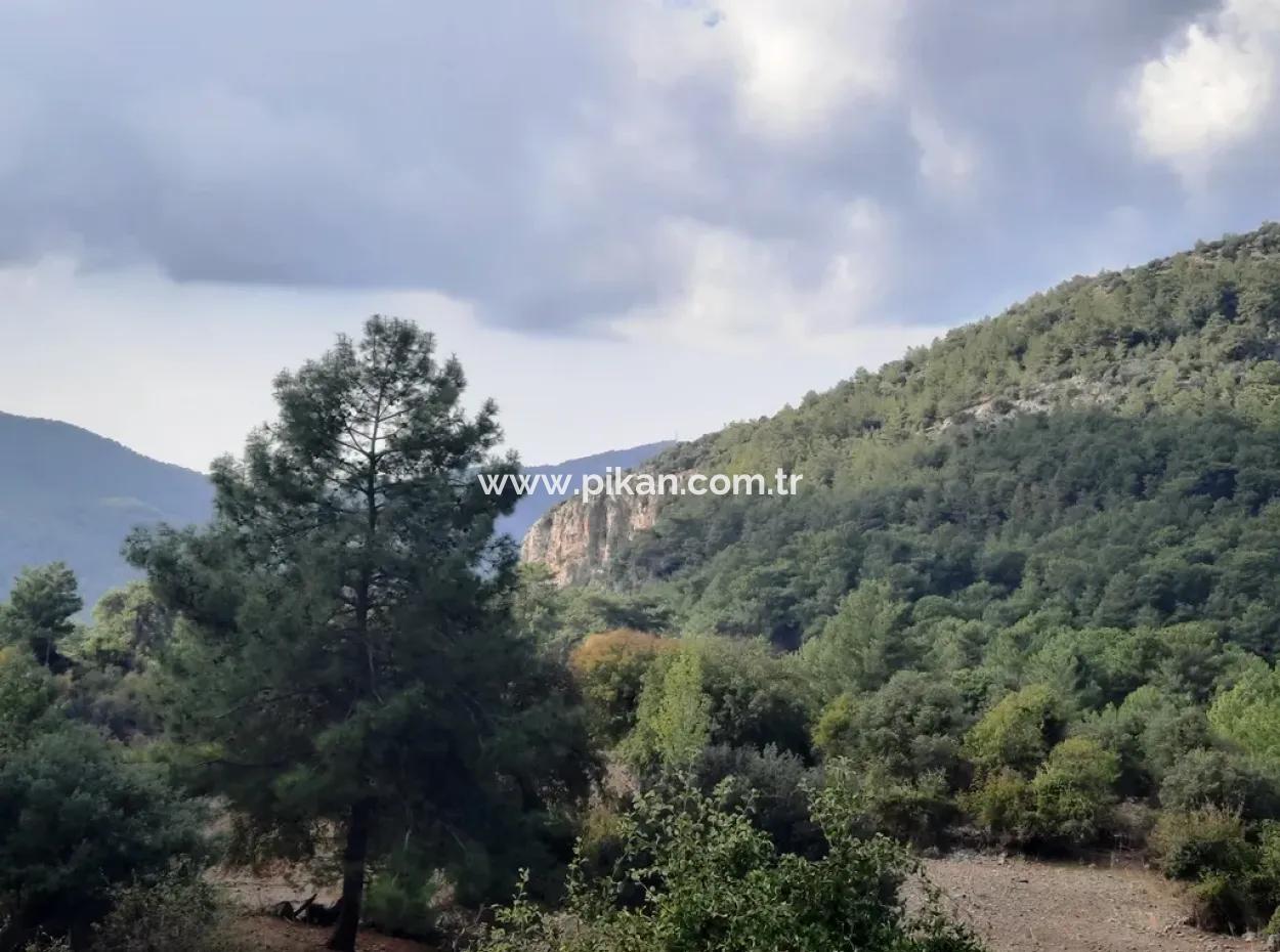 Mugla Dalyan Gökbel 320 M2 Schnäppchengrundstück Zum Verkauf