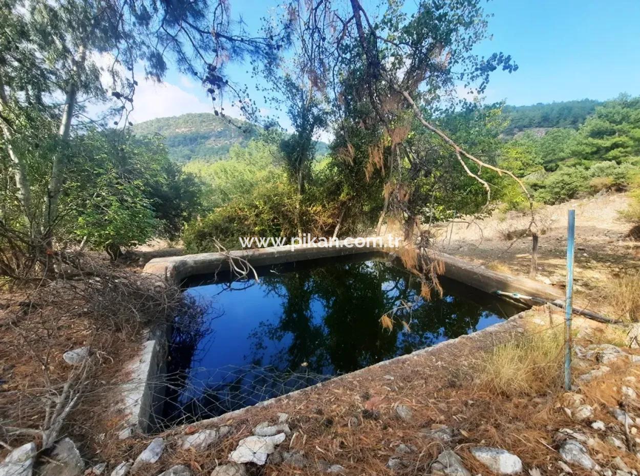 Mugla Dalyan Gökbel 320 M2 Schnäppchengrundstück Zum Verkauf