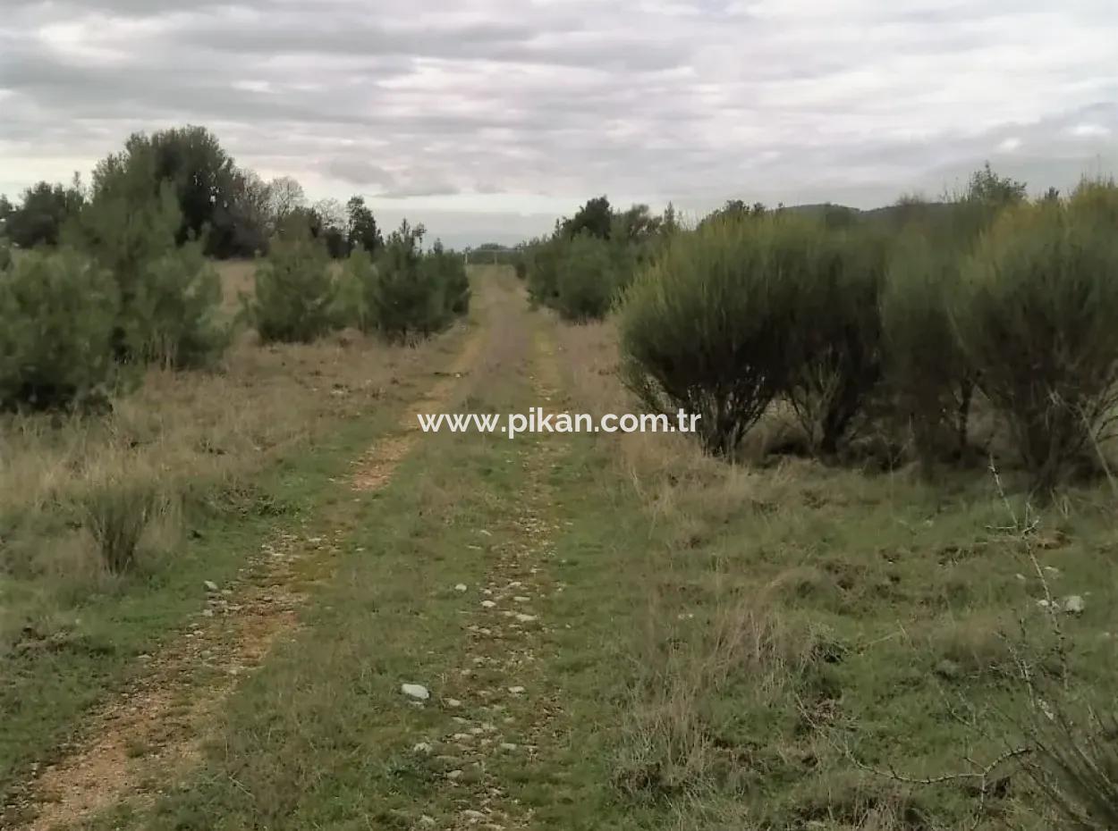 30949 M2 Fruchtbares Feld Zu Verkaufen In Mugla Dalaman Gürleyik