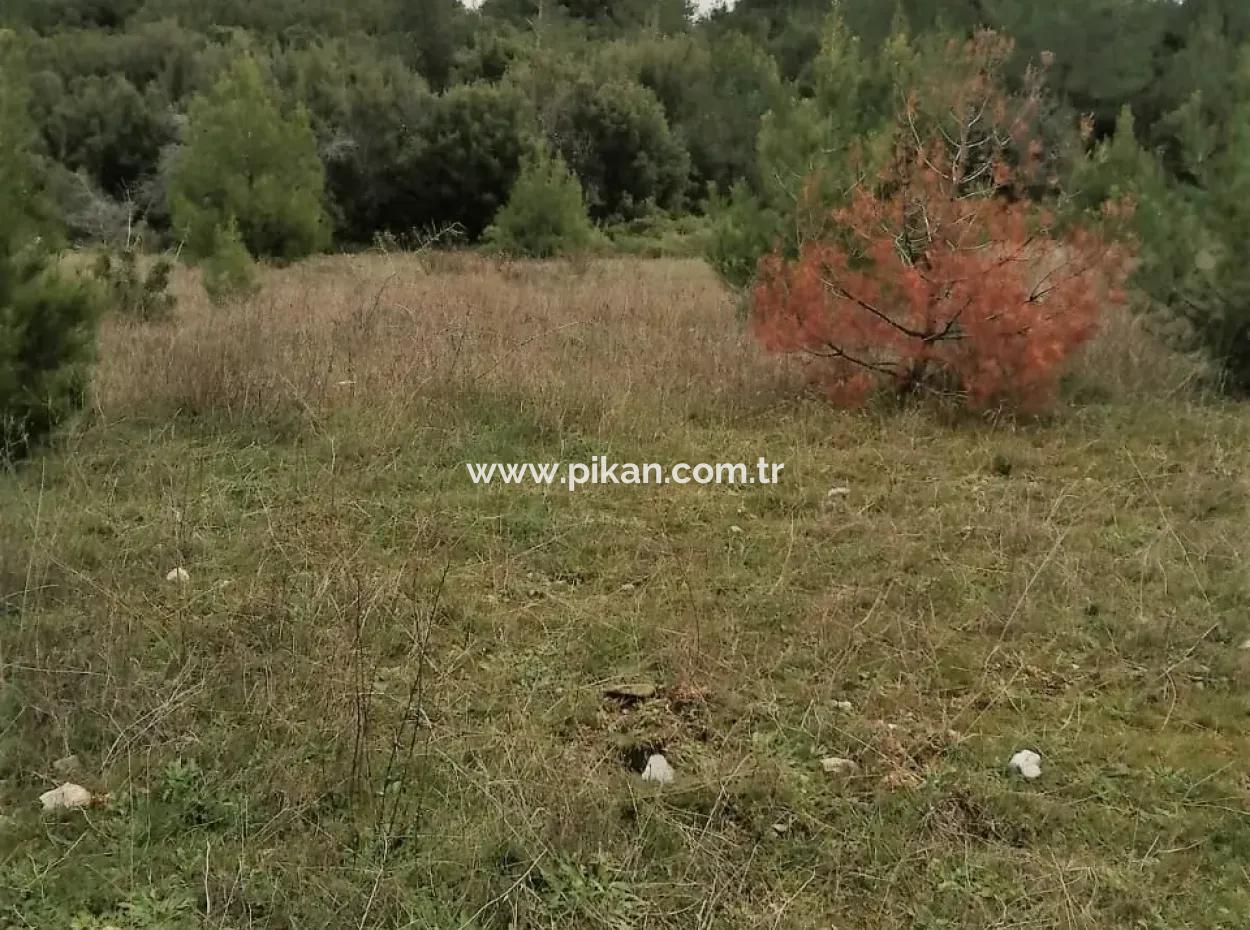 30949 M2 Fruchtbares Feld Zu Verkaufen In Mugla Dalaman Gürleyik