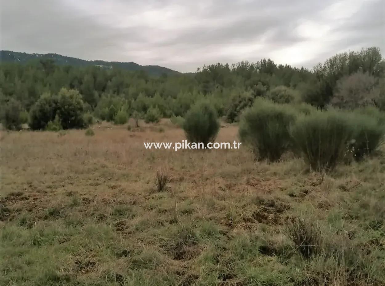 30949 M2 Fruchtbares Feld Zu Verkaufen In Mugla Dalaman Gürleyik