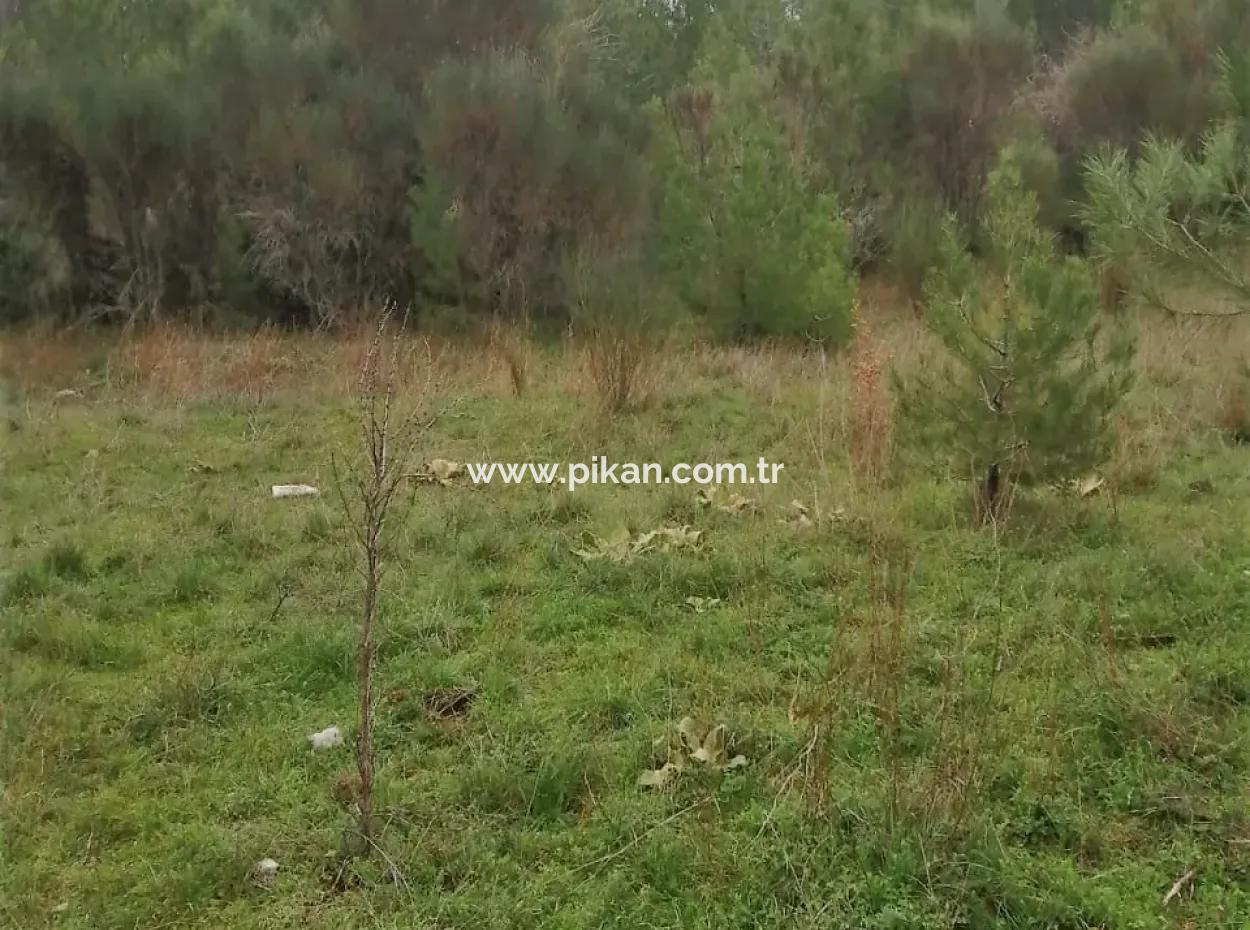 30949 M2 Fruchtbares Feld Zu Verkaufen In Mugla Dalaman Gürleyik