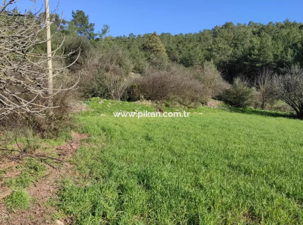 Mugla Ula Karabörtlen 2956 M2 Freistehendes Grundstück Zum Verkauf