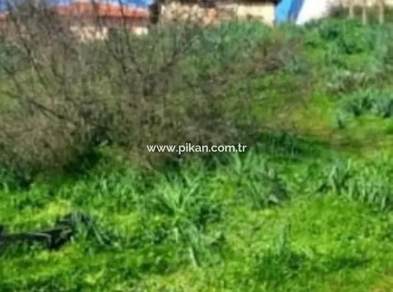 Mugla Ula Esentepe 708 M2 % 20 Zonierung Grundstück Zum Verkauf