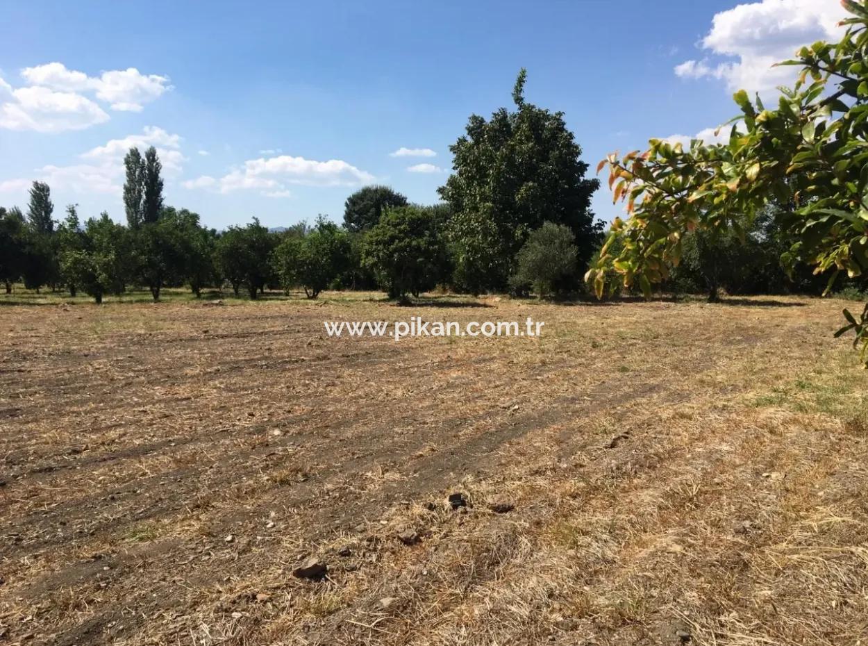 Köyceğiz Und Dalyan Mah. Dorf Haus Zum Verkauf