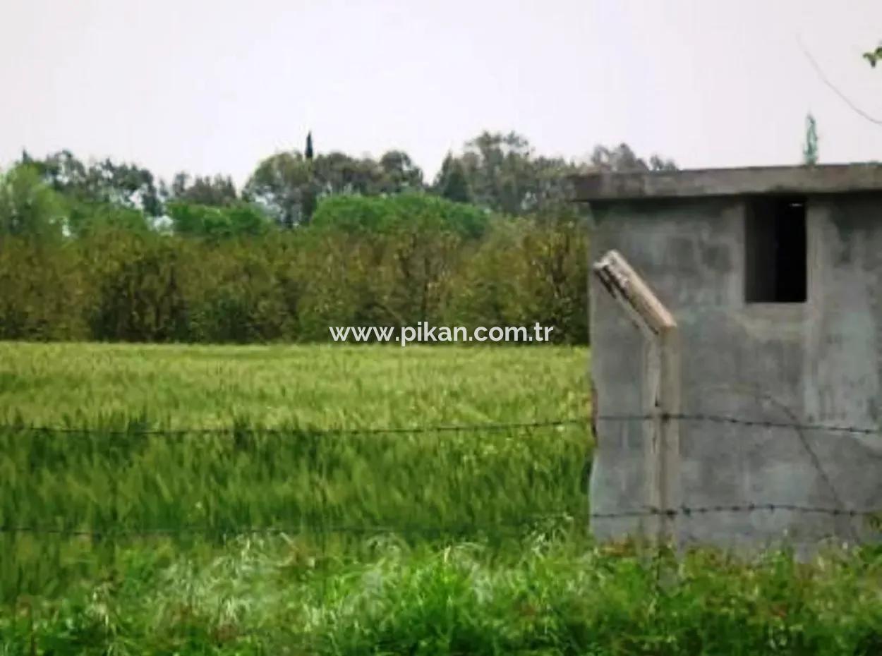 8 000 M2 Fruchtbares Land Zum Verkauf In Muğla Ortaca Fevziye