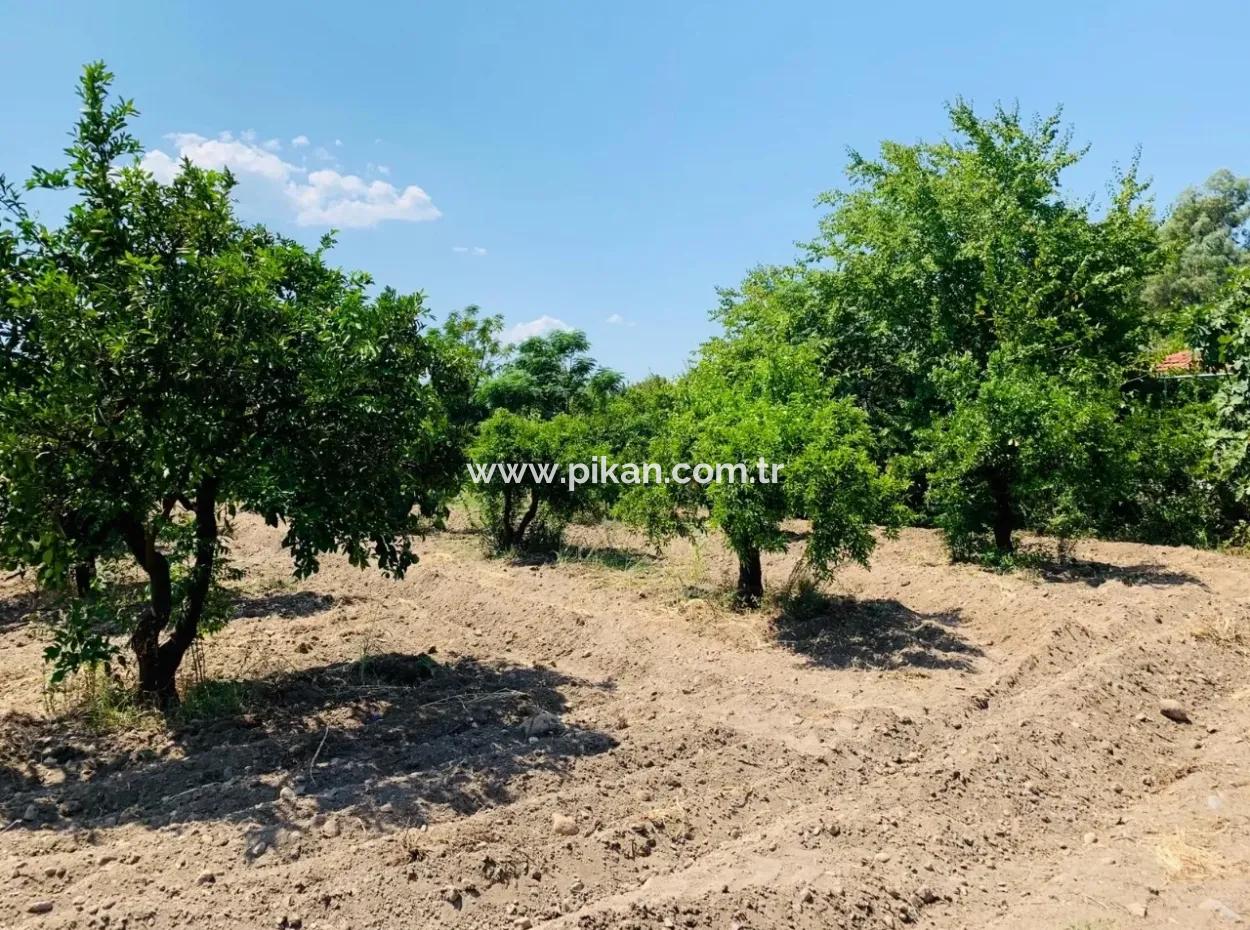 Grundstück Zum Verkauf In Bis