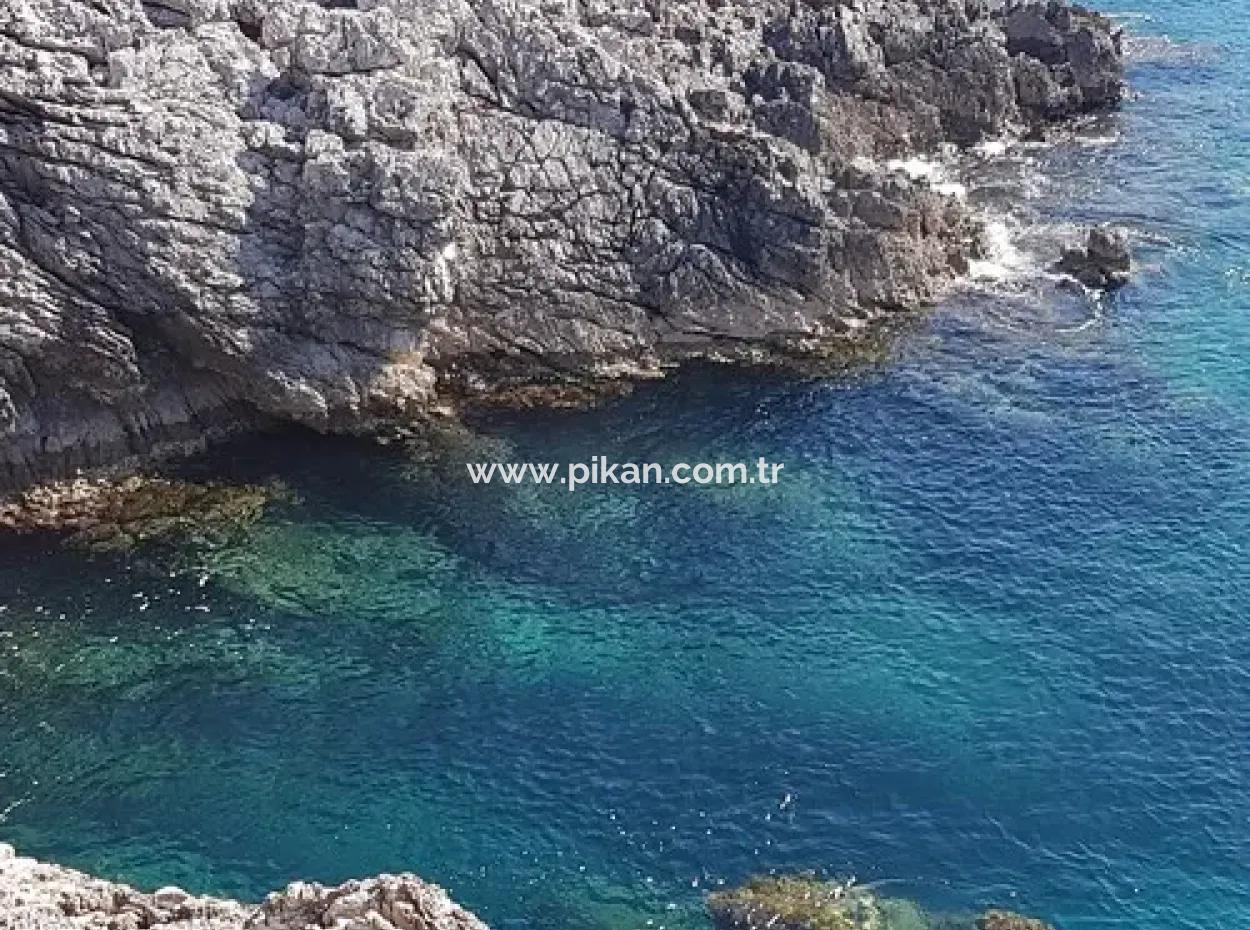 Dalyan, Gökbel De Meer Freistehend 1 300 M2 Olivenhain Zu Verkaufen