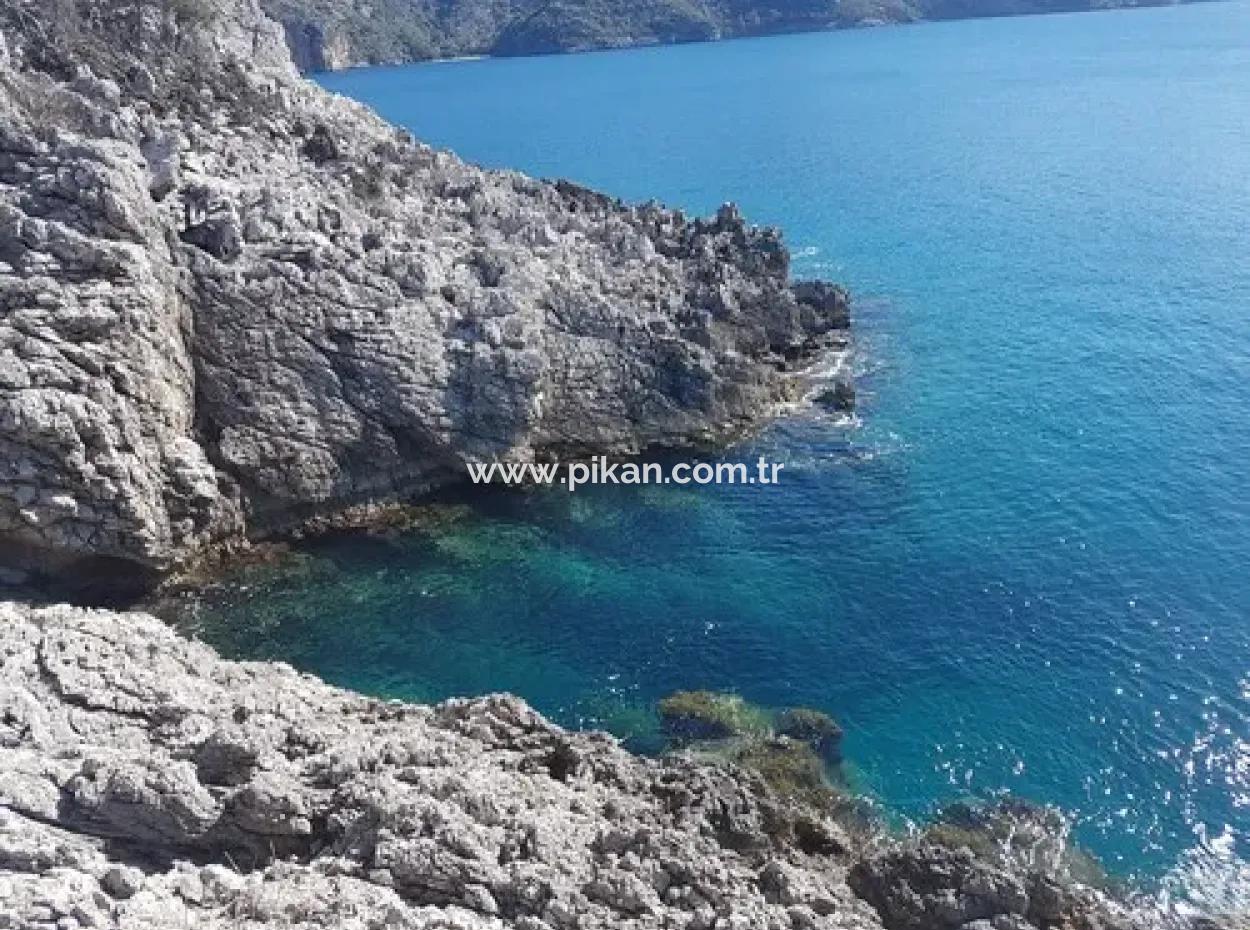 Dalyan, Gökbel De Meer Freistehend 1 300 M2 Olivenhain Zu Verkaufen